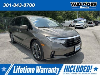 2022 Honda Odyssey Elite