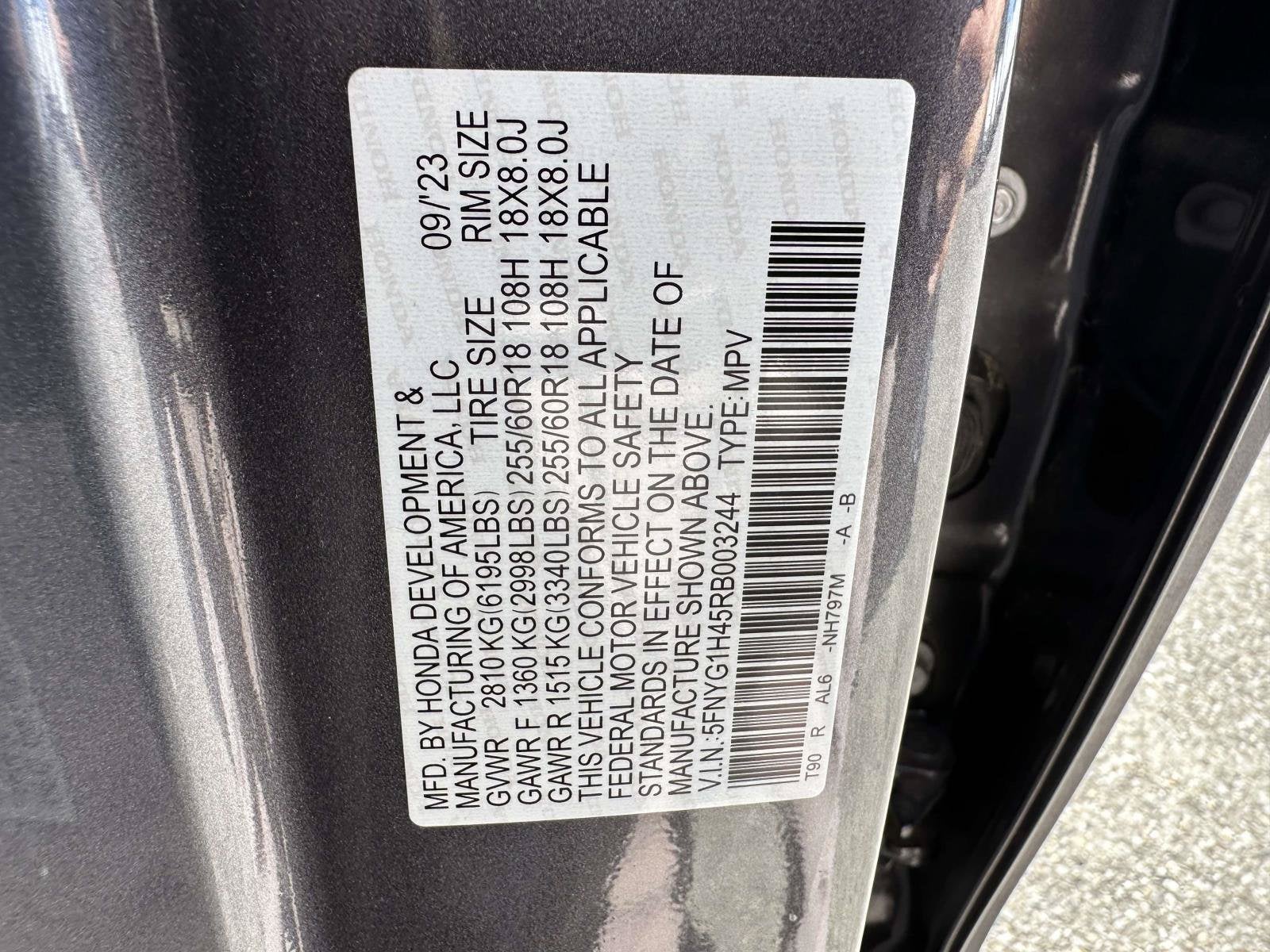2024 Honda Pilot EX-L 8 Passenger