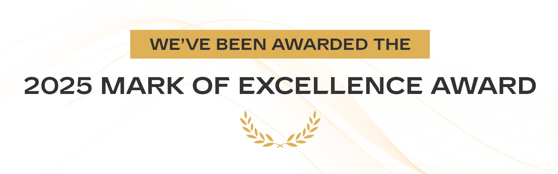 2025 Mark of Excellence Award
